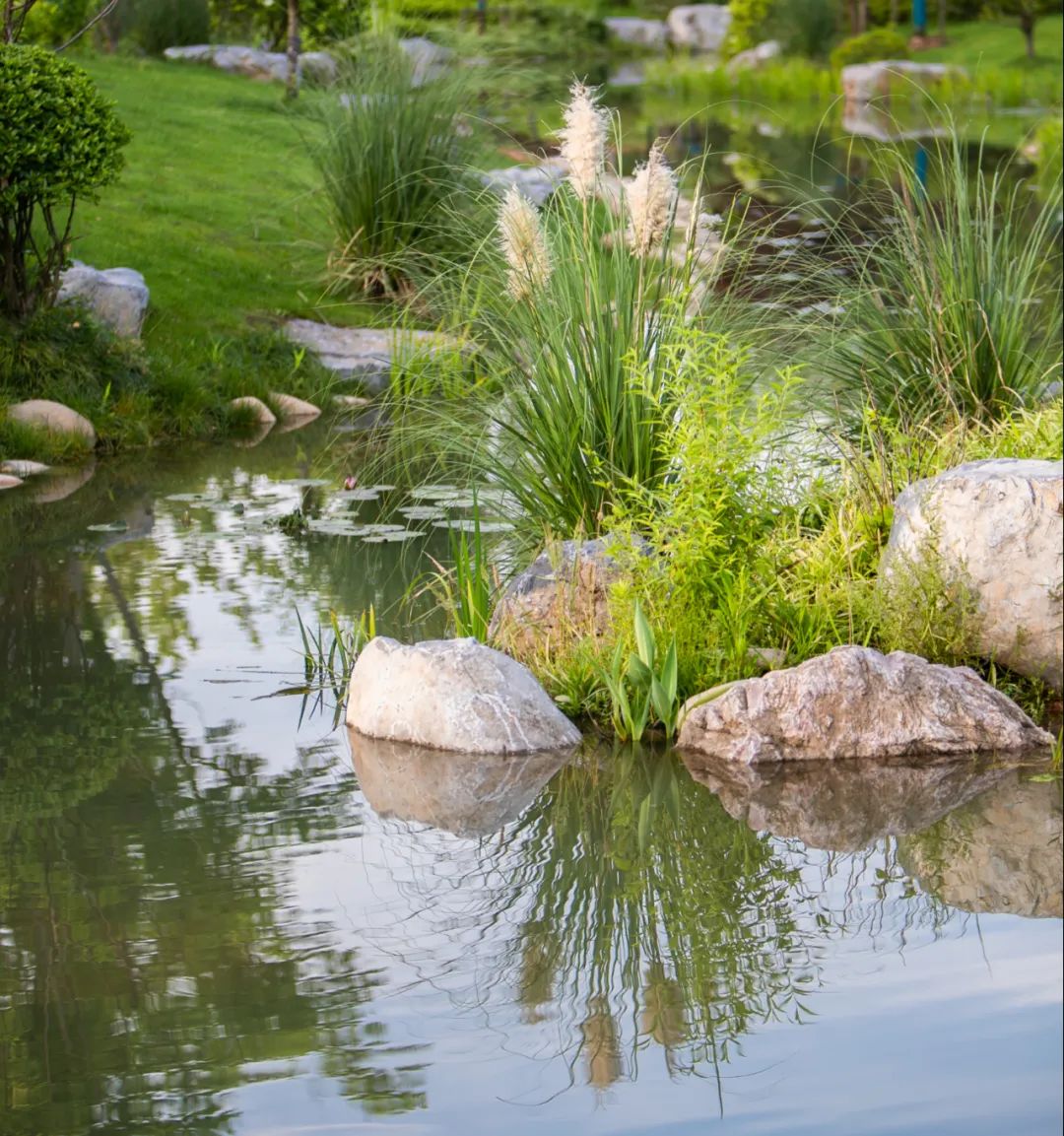 上饶悦麓开元观堂 | 古徽州文化与现代度假的完美融合-43