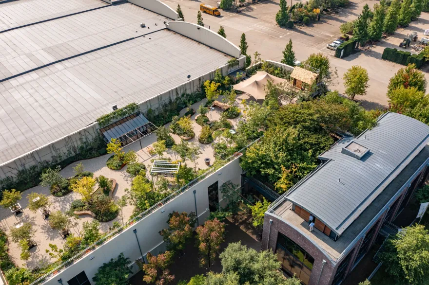 英斯皮里姆屋顶花园丨荷兰-17