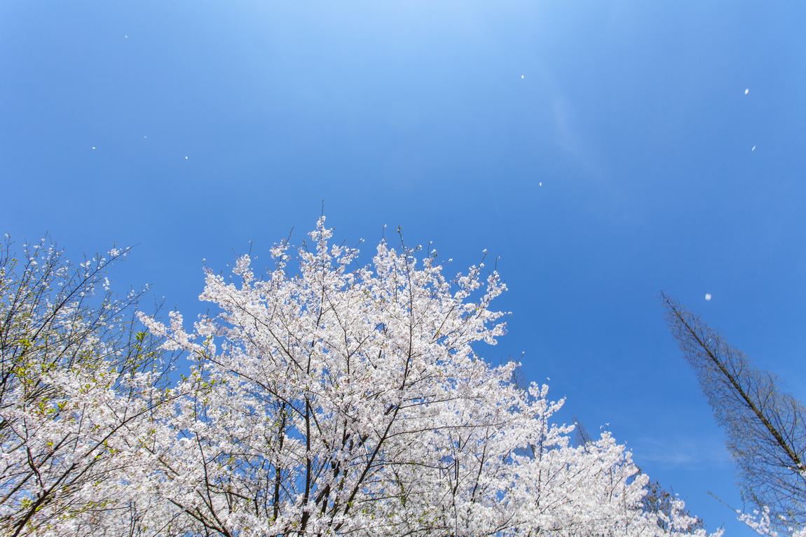 【JAYA】兰亭安麓度假酒店高清官方摄影-3