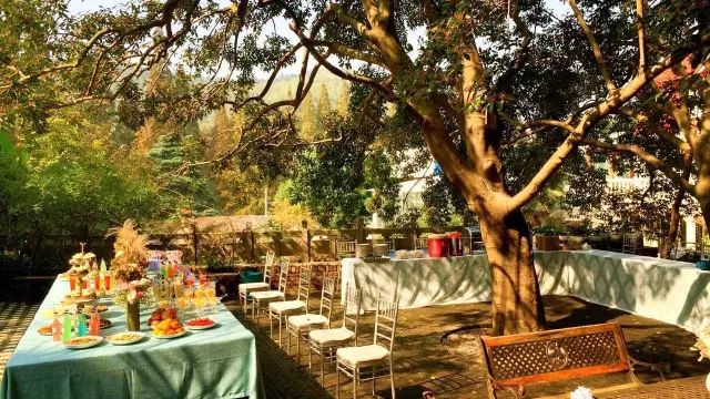 文艺大叔租下8亩林场，花16年种花养草，如今惊艳世人，连美国杂志都给他点赞-198