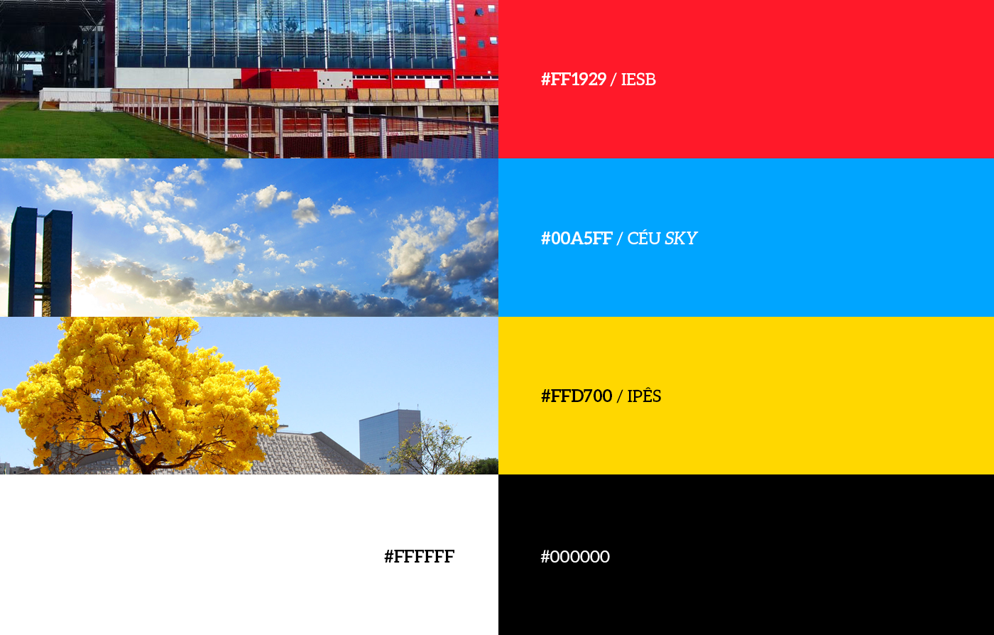 EPP&D 2019 视觉形象设计丨巴西巴西利亚-14