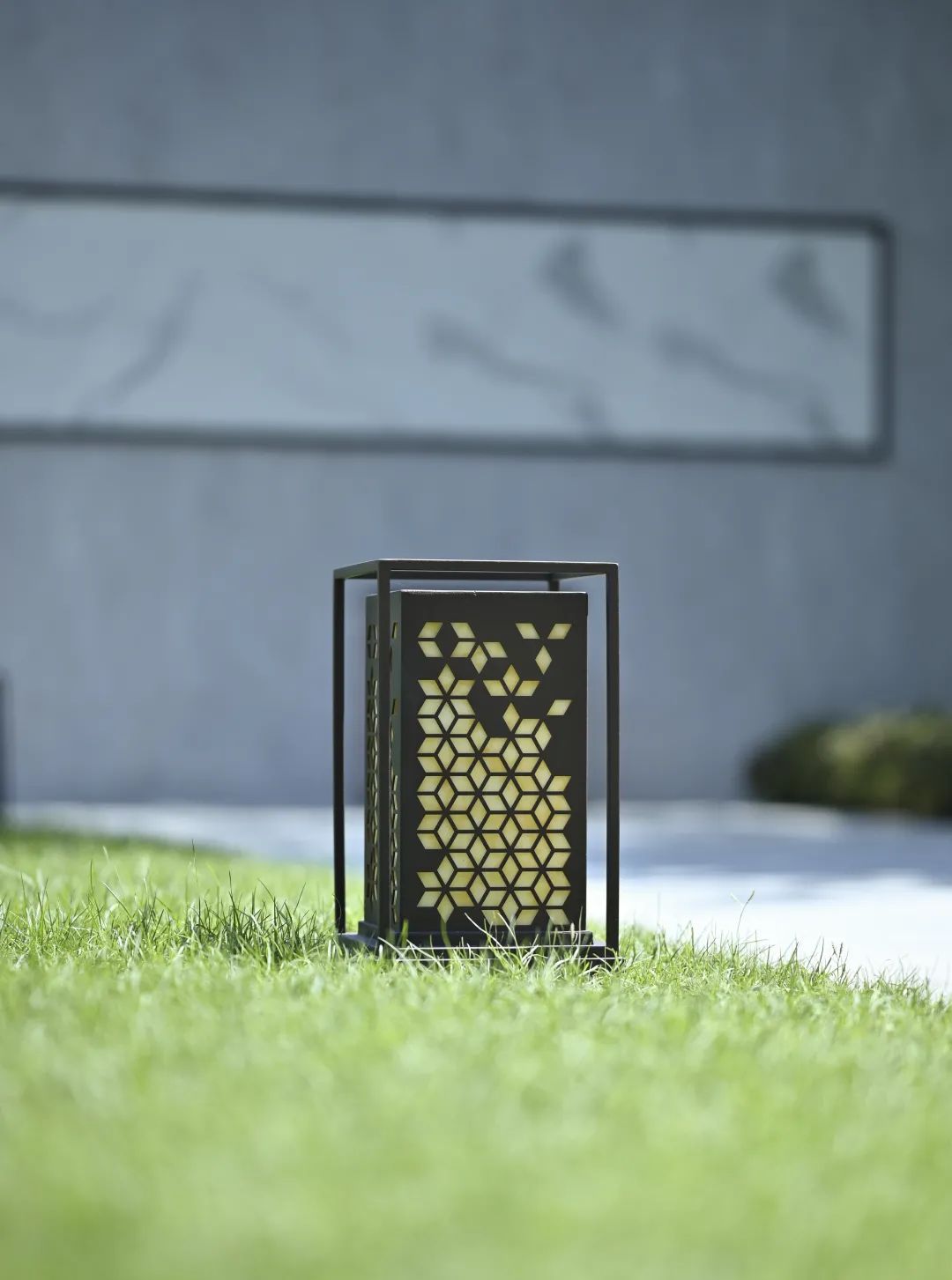 三水荷花世界,云水荷香间的归心之所-25