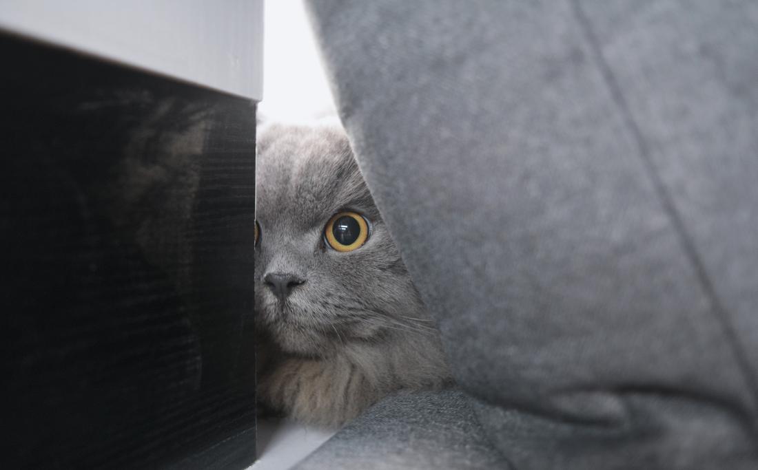 纯粹极简,探索小空间设计之美-42