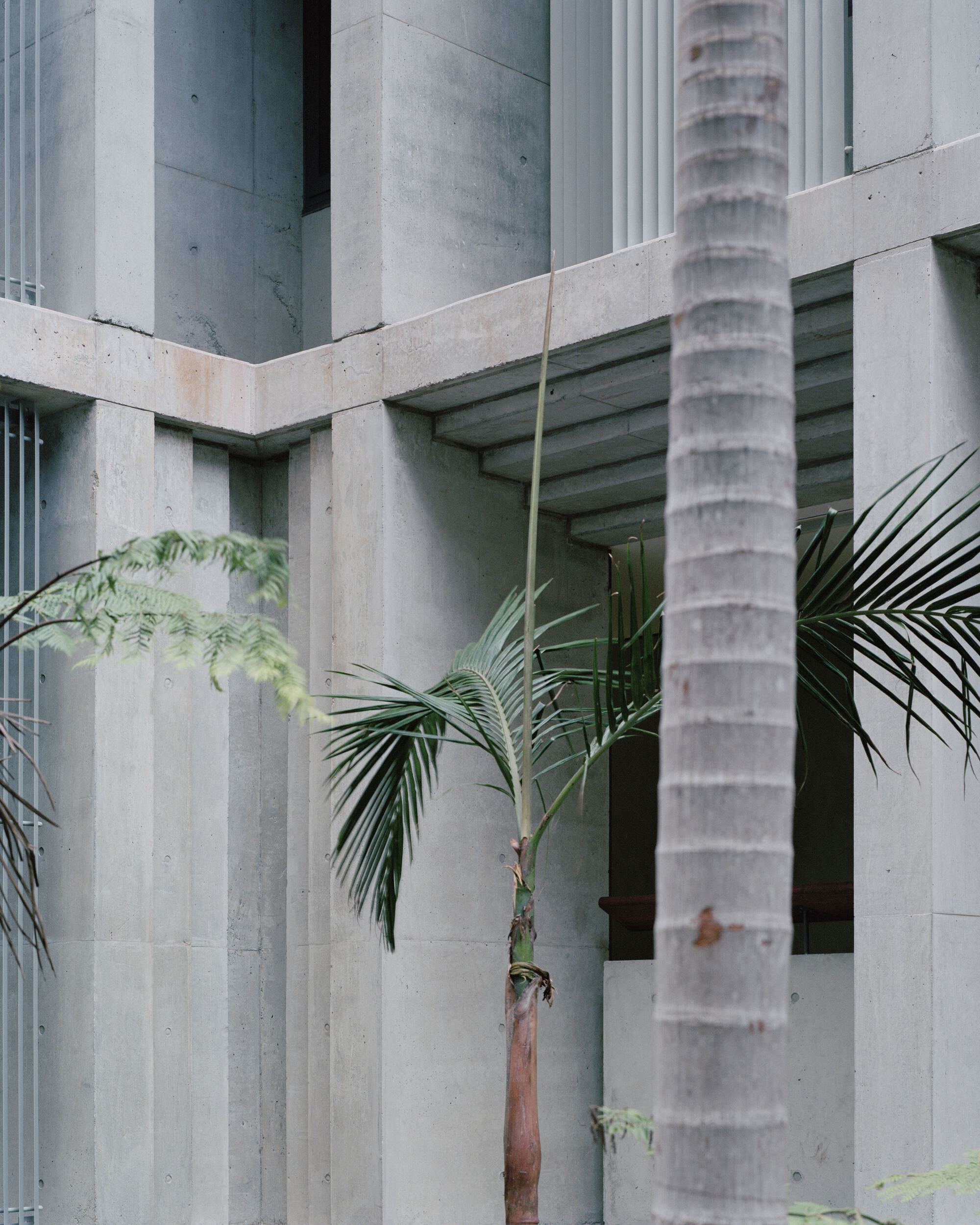 萨里住宅大楼丨Australia丨Candalepas Associates-50