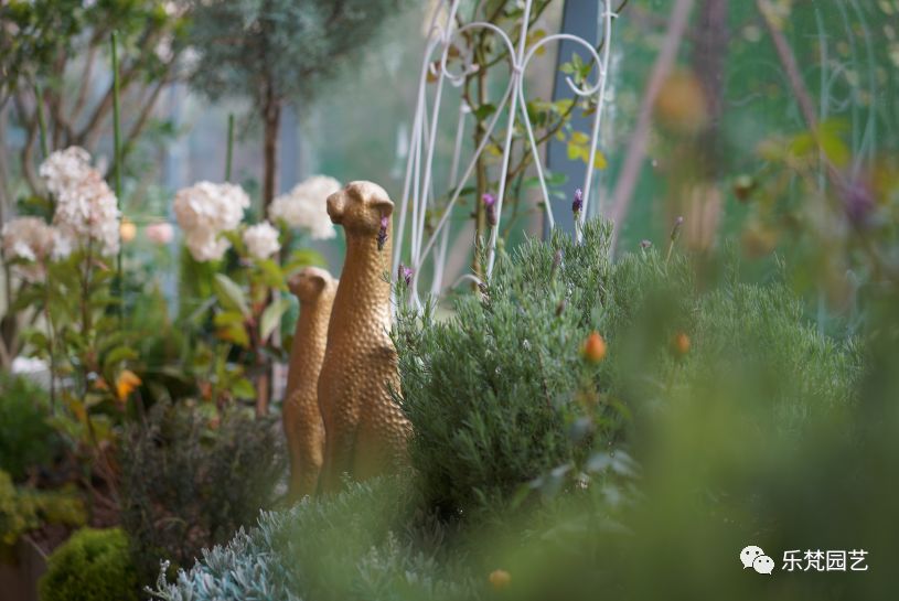 乐梵造园 | 成都滨江地产的花园房设计-136