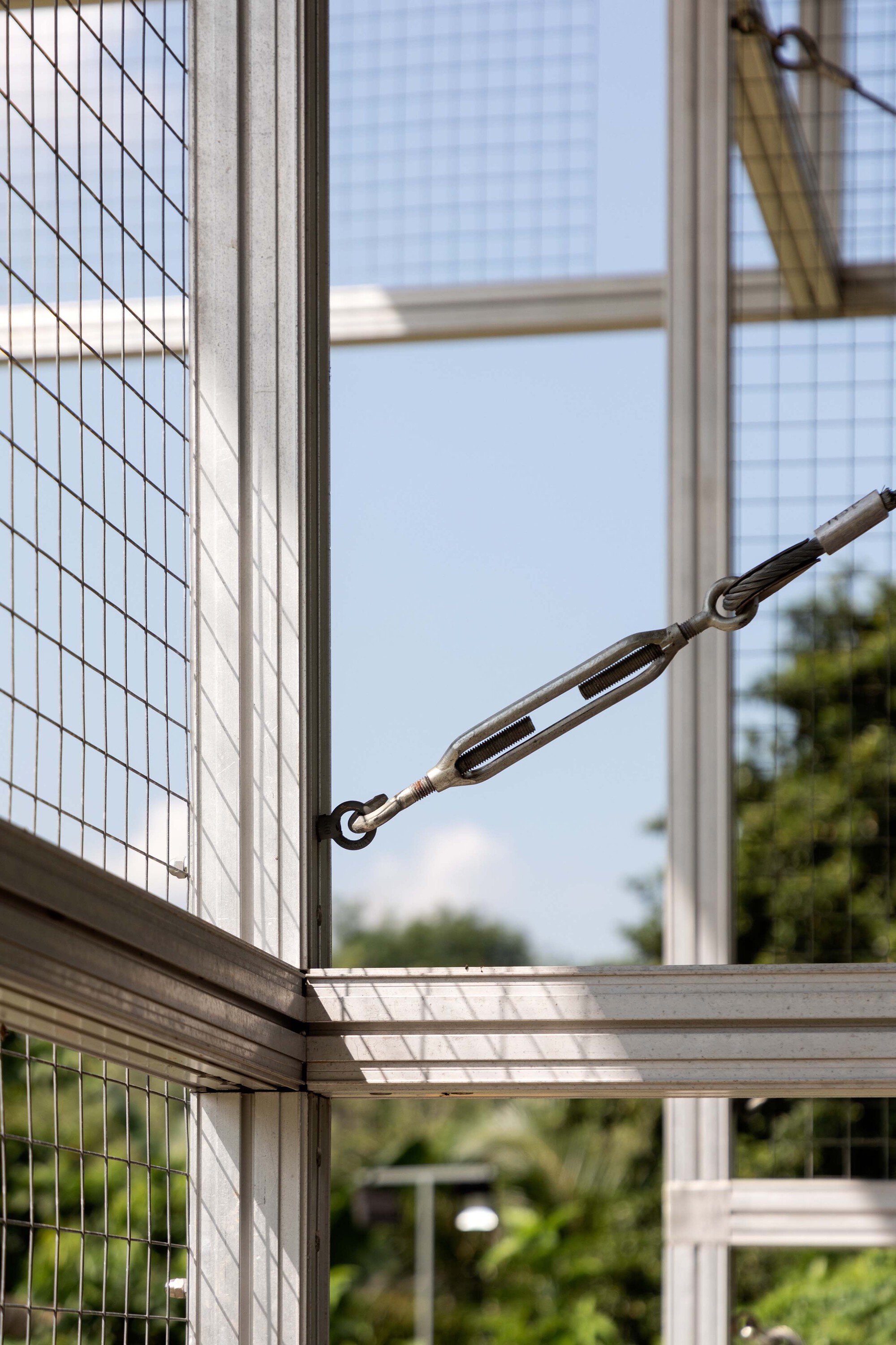 绿色阿戈拉亭丨新加坡丨Spatial Anatomy-32