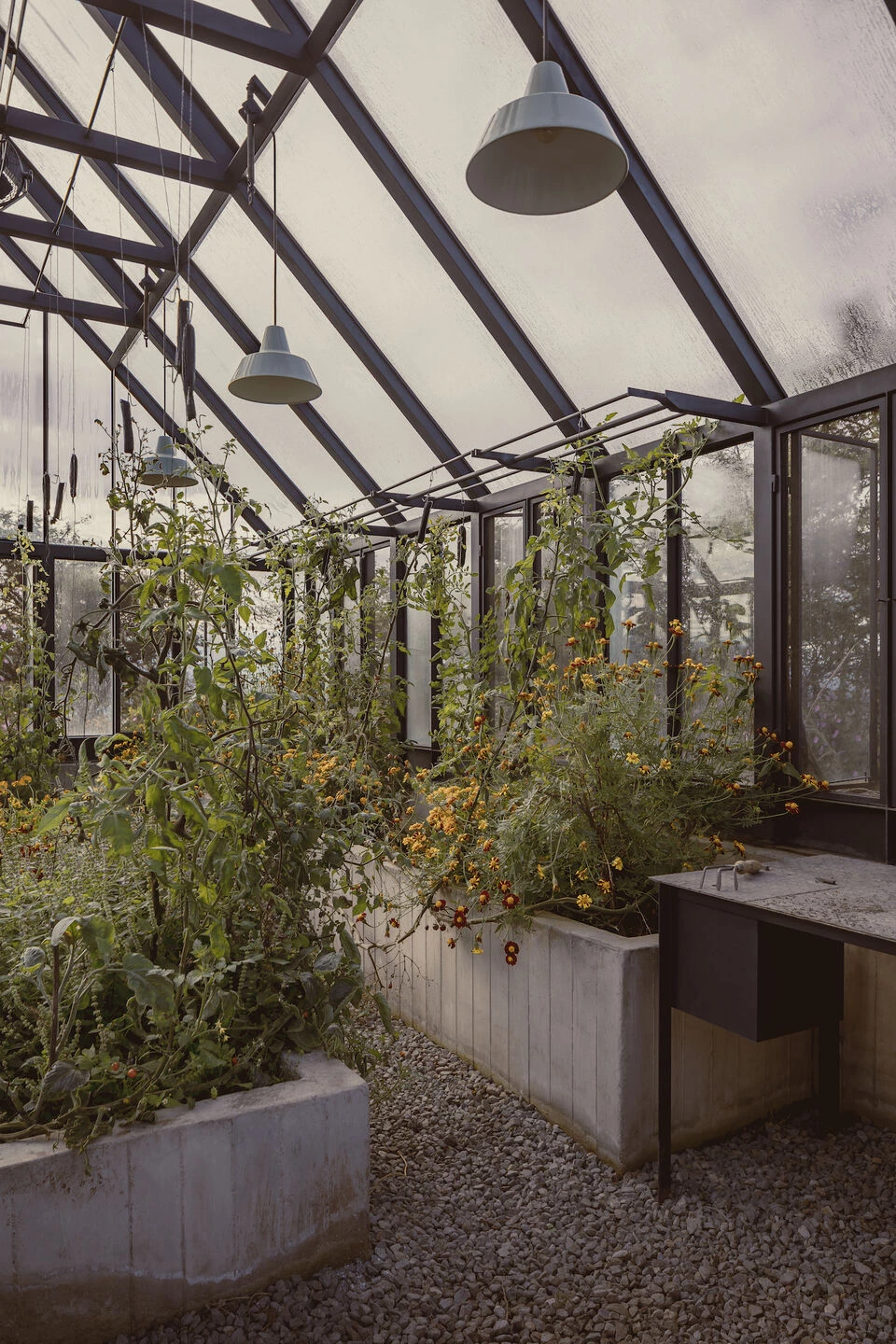 玻璃屋丨墨西哥丨COA arquitectura-11