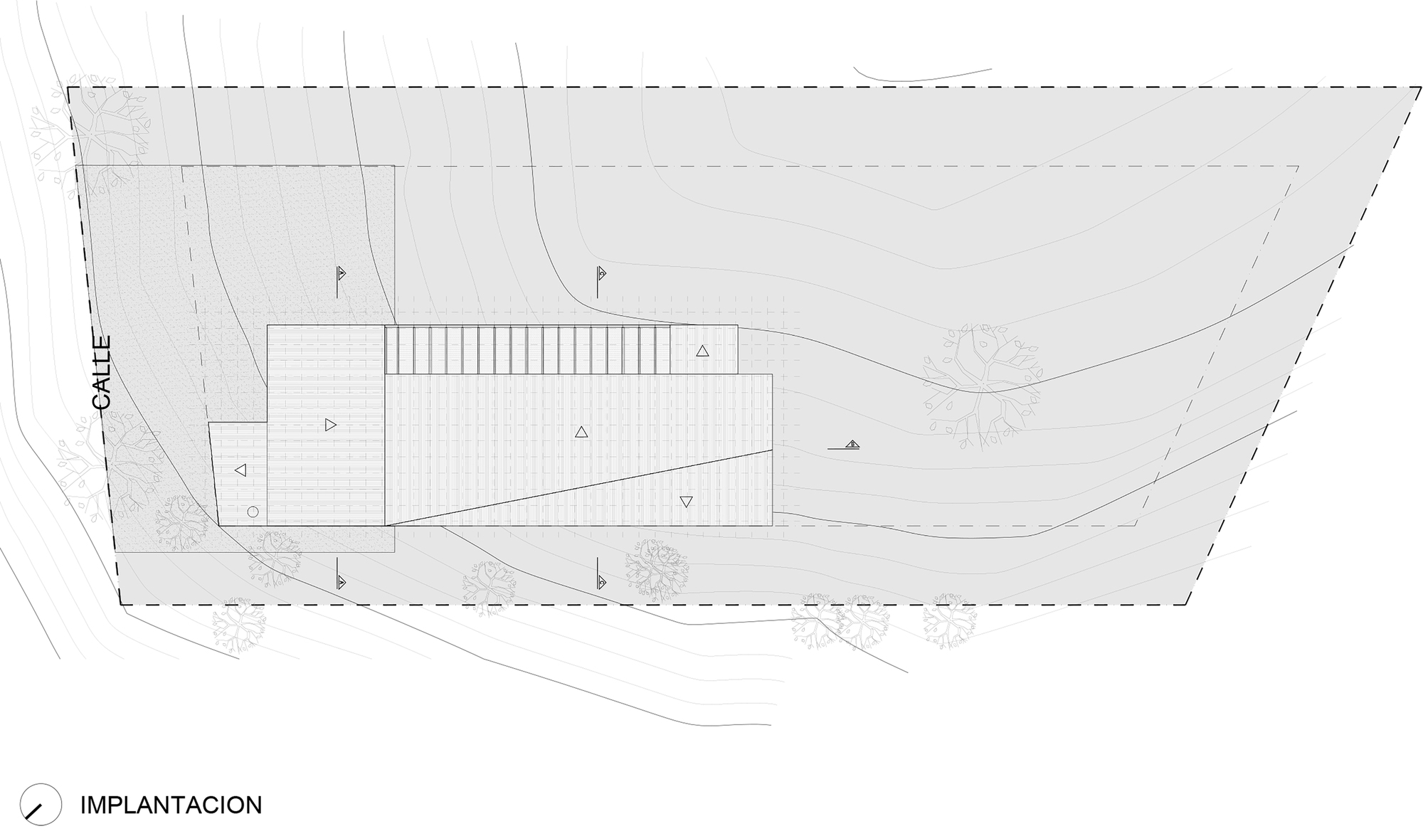 索萨之家丨阿根廷丨40Sur Arquitectura-9