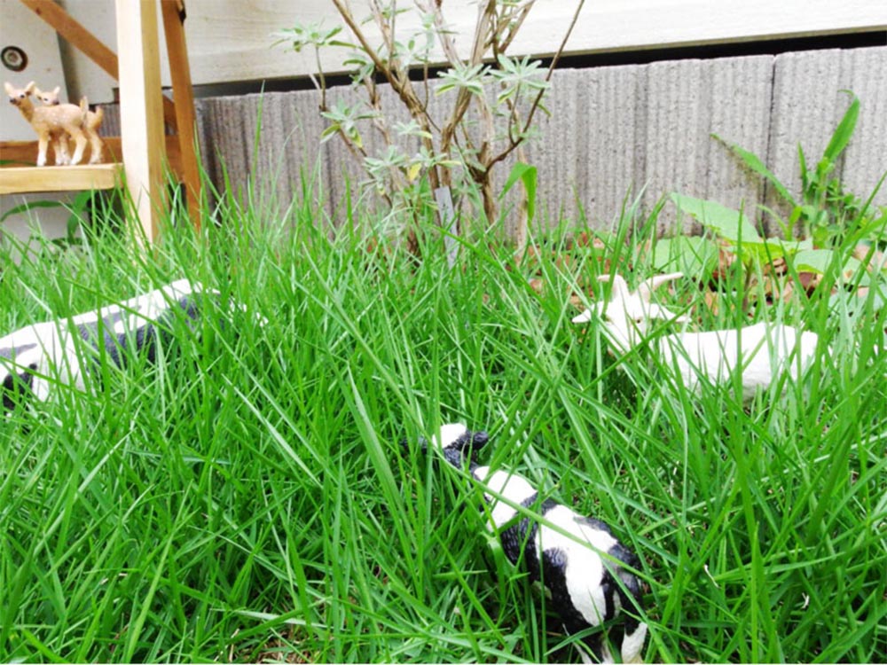 世田谷区の家-37