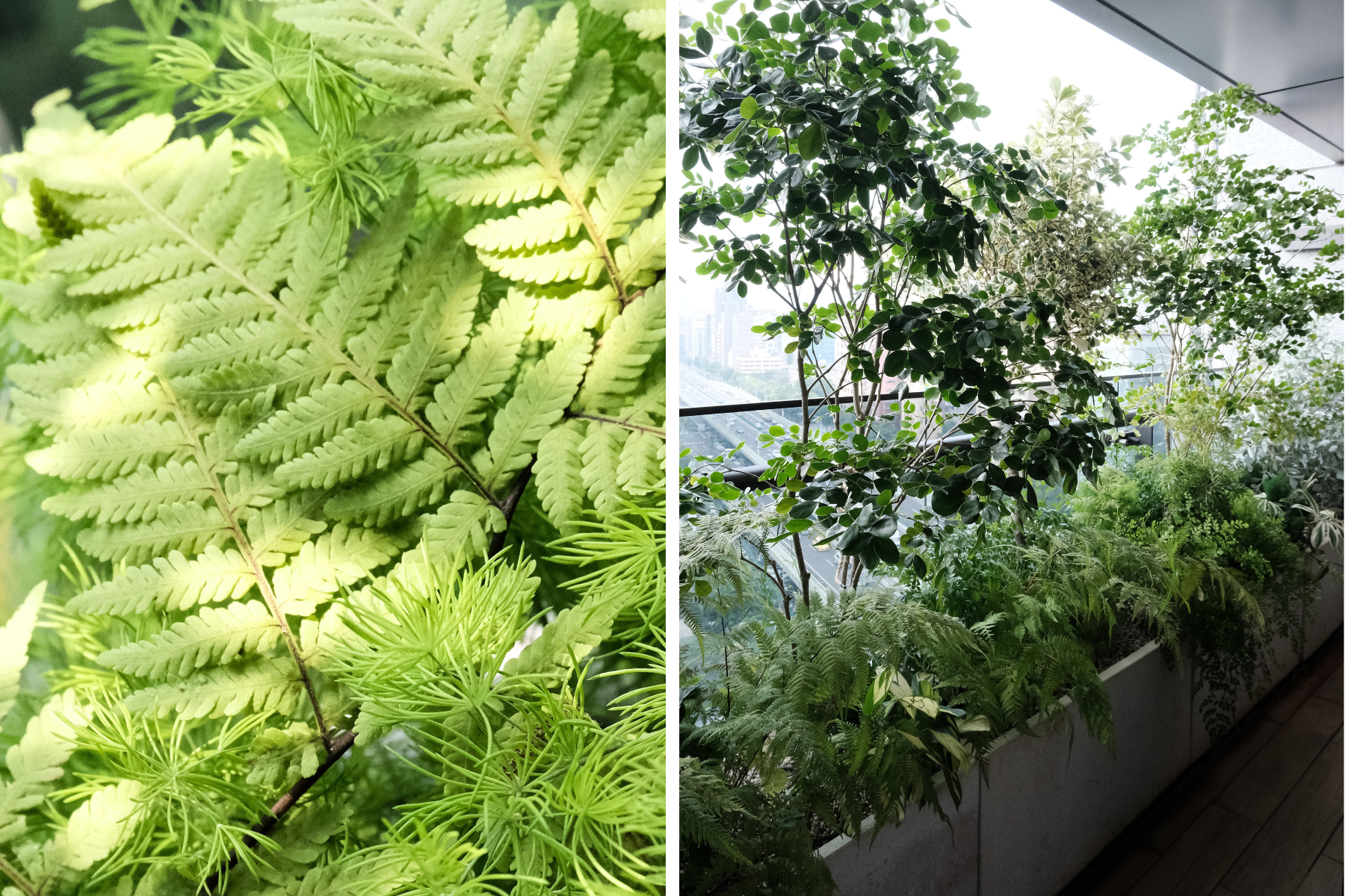 住宅案 | 松山區 | 陽台景觀設計-4