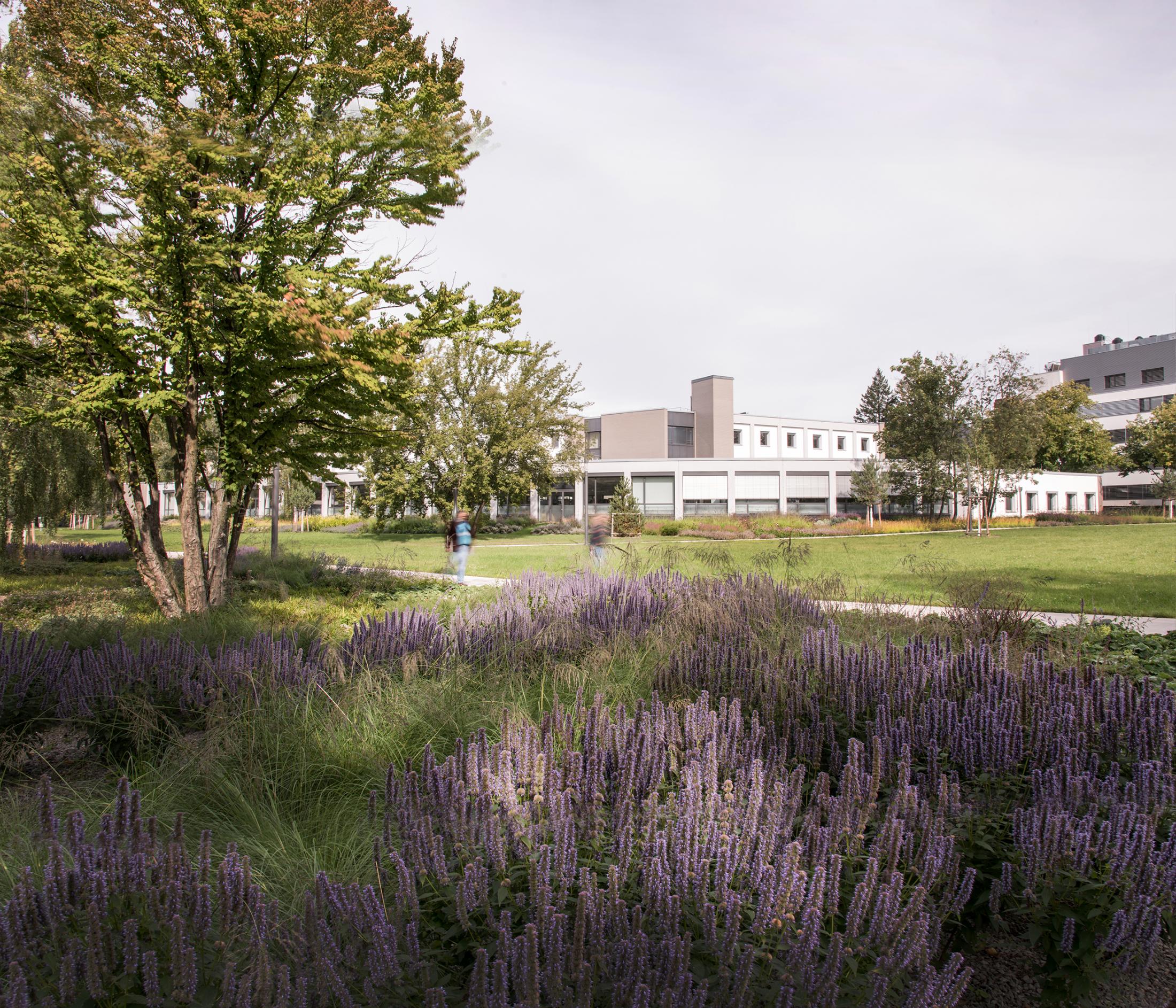 FU  Campus柏林校区建设丨德国柏林-0