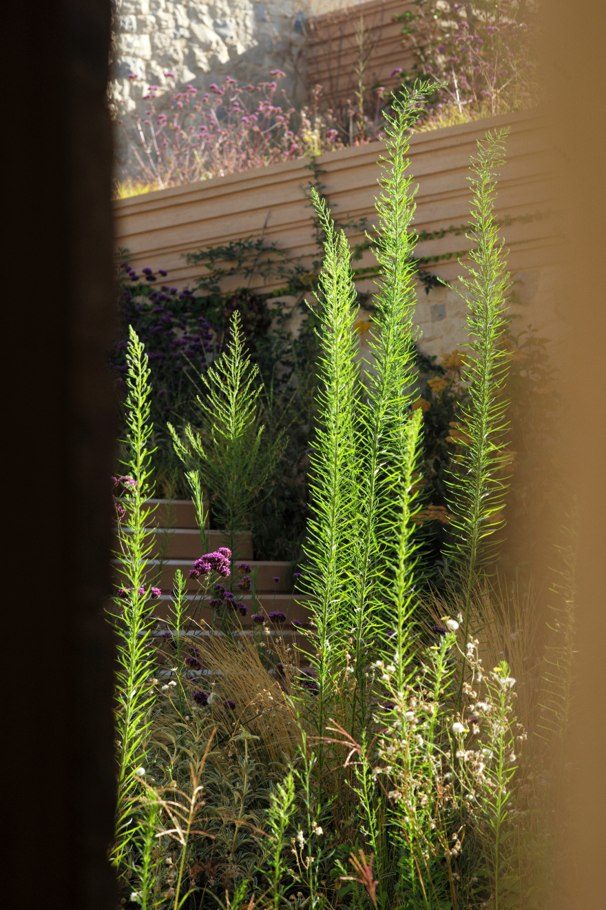 A 别墅丨黎巴嫩-62