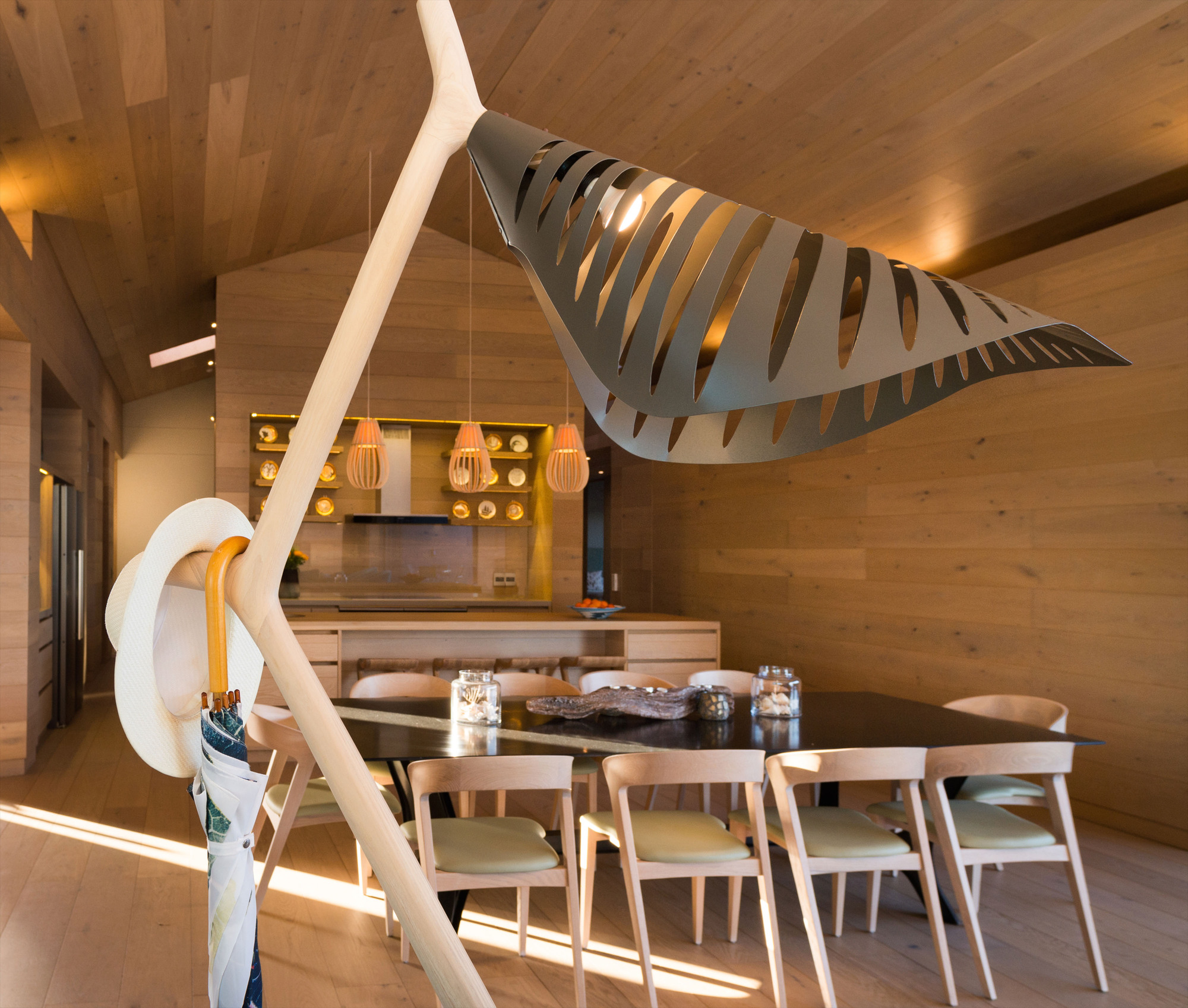 Floating Dune House / Slee & Co Architects-32