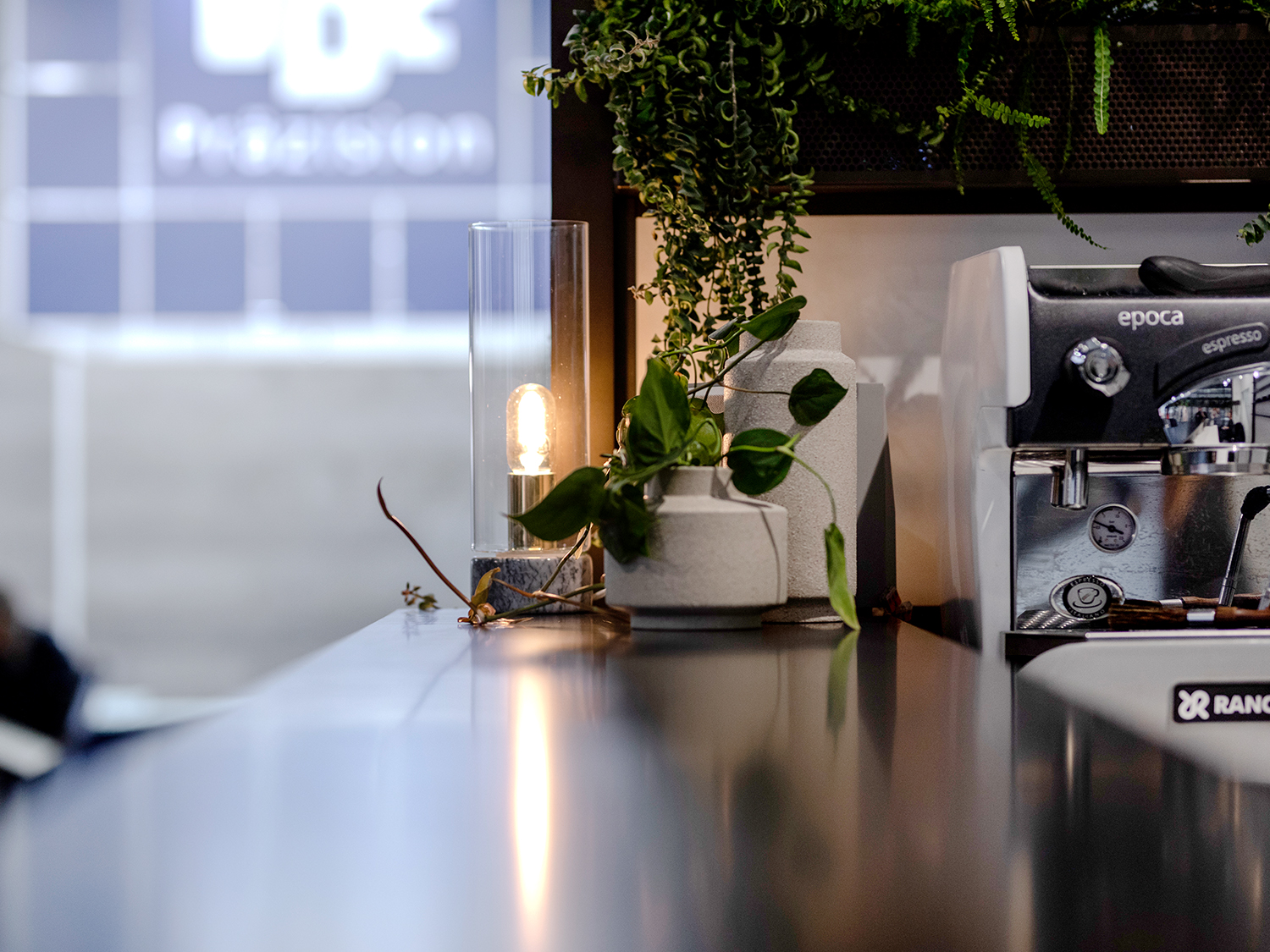 Bauhaus 绿意盎然-11