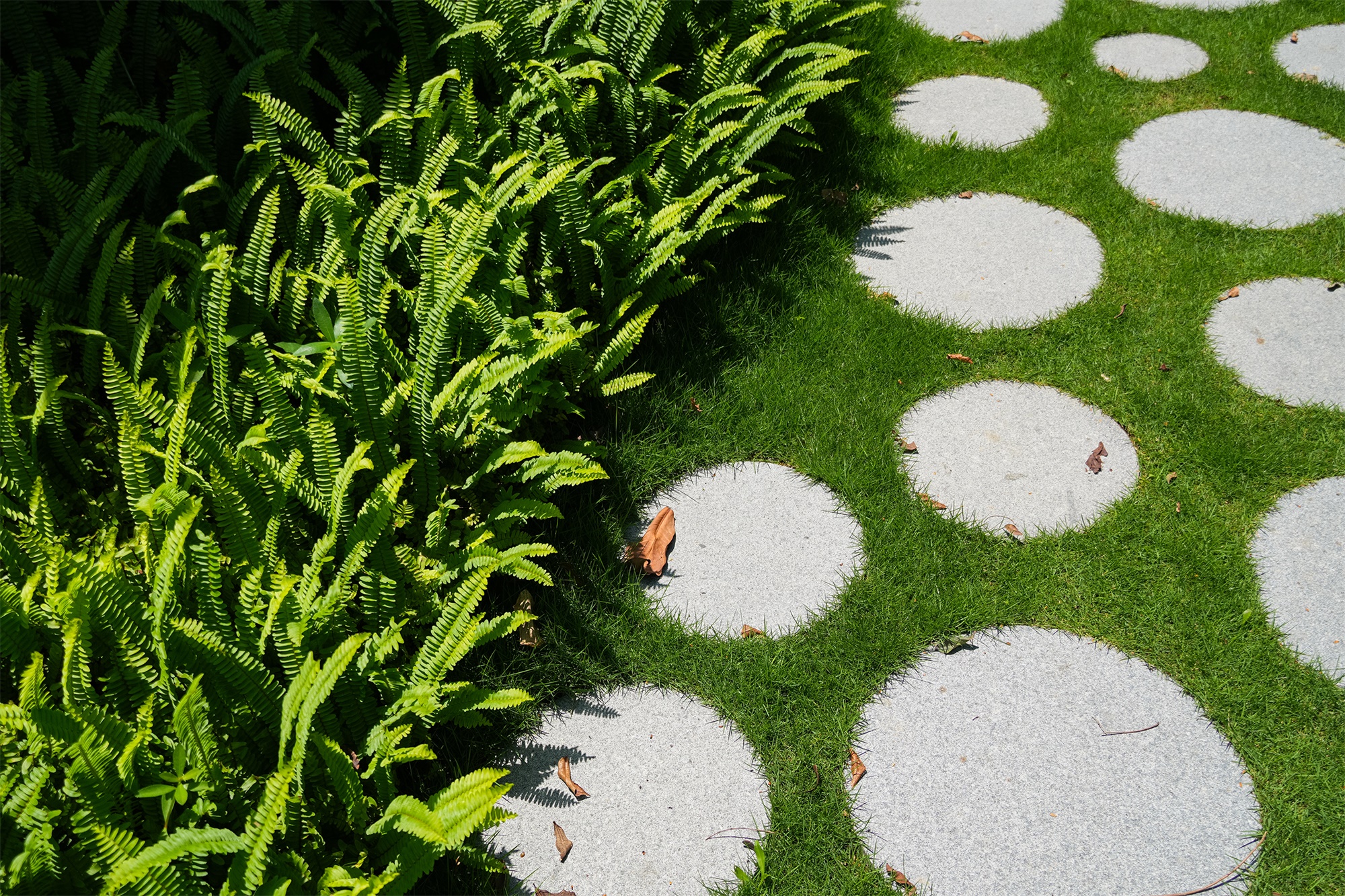 海大科学园景观设计丨中国广州-70