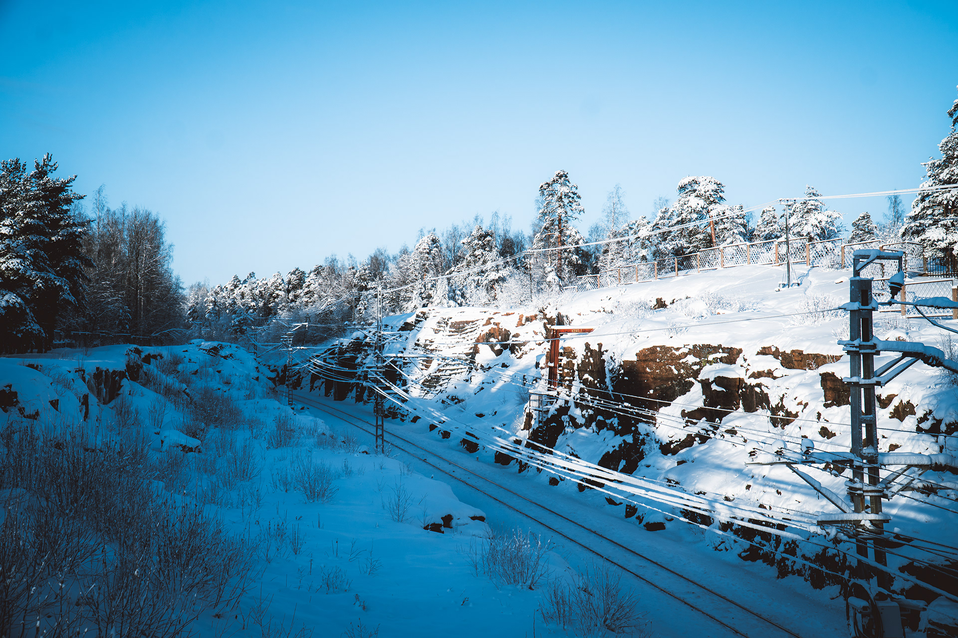 Vyborg 城市与森林景观摄影-13