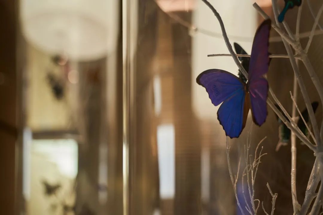 中建·桃李九章销售中心丨中国长沙丨本则设计-48