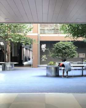 北鲲园,可居之墙丨中国深圳丨阮昕工作室