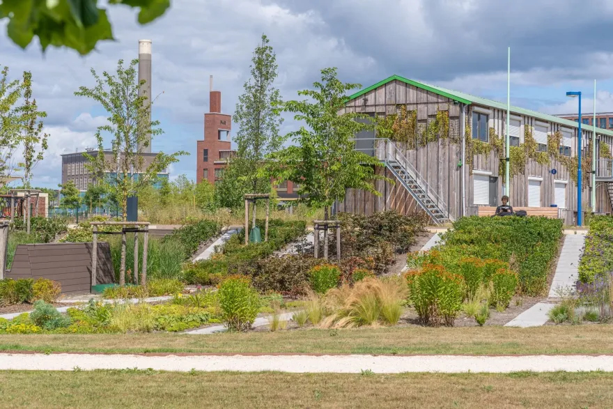 Plantsoen Hof van Boedapest 公园丨荷兰-21