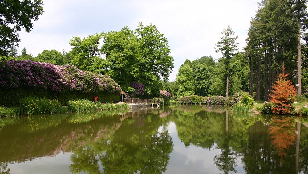 Le Mont de Cerisy - Cerisy-Belle-Etoile - Orne (61) - Normandie-7