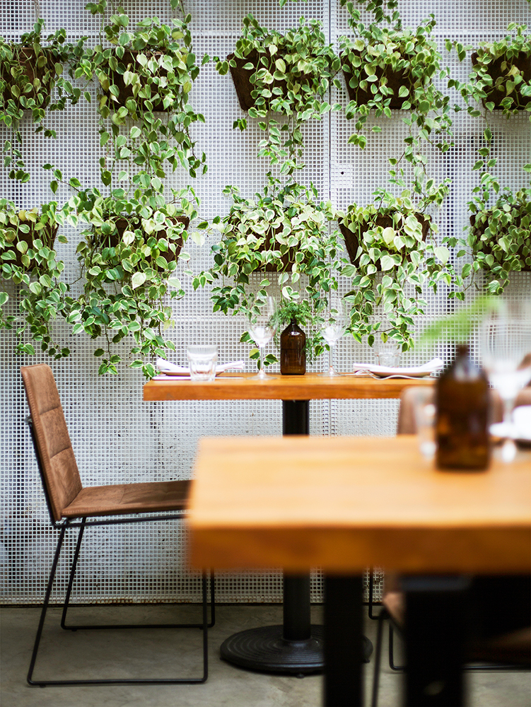 RESTAURANTE SILO _ SP Consuelo Jorge-20