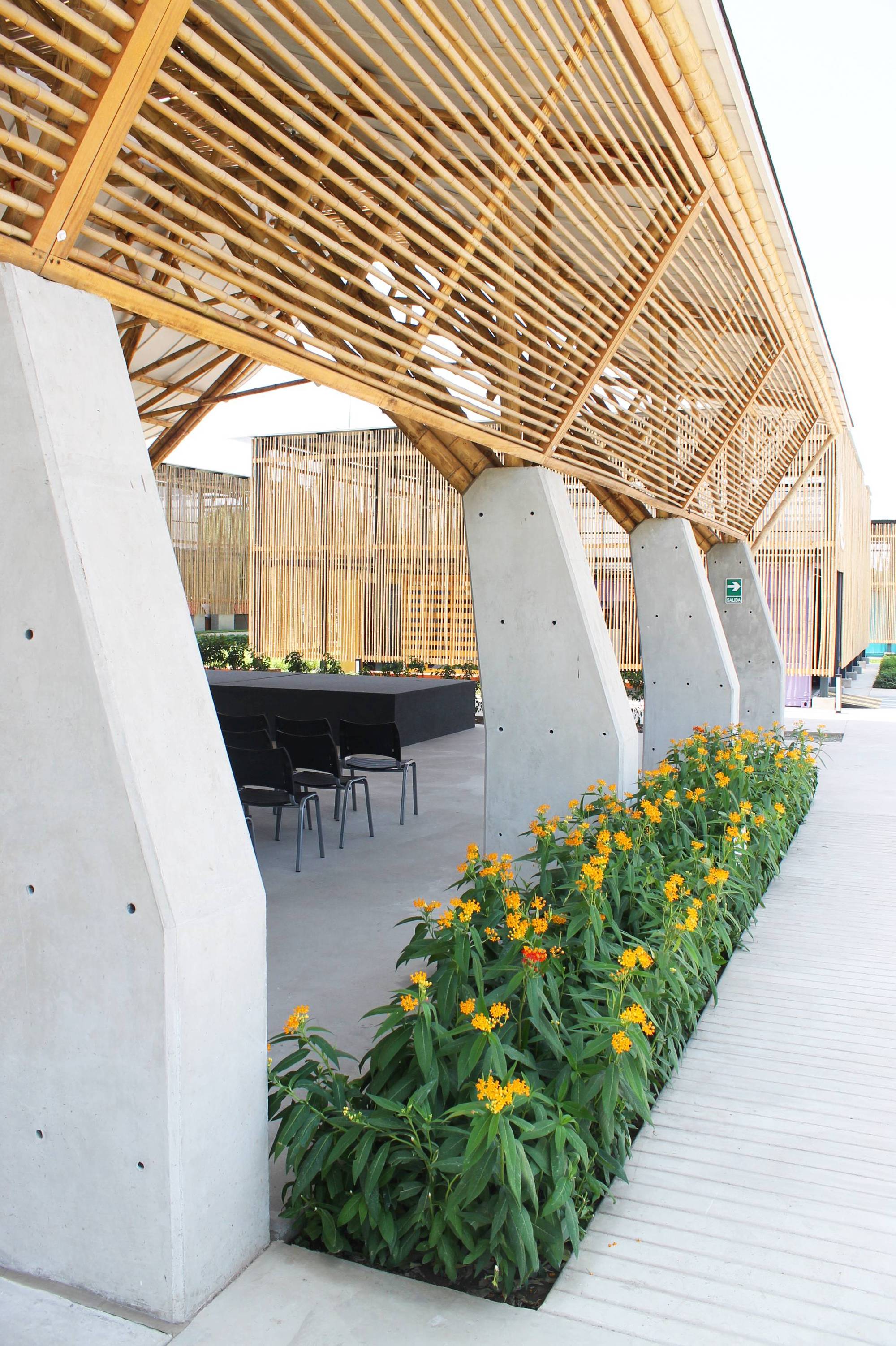 Bamboo Auditorium / Instituto de Vivienda, Urbanismo y Construcción de la USMP-27