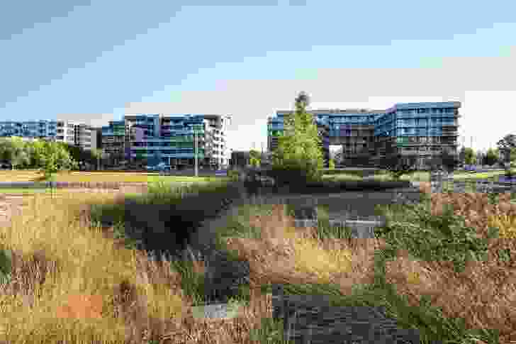 丨澳大利亚堪培拉丨Jane Irwin Landscape Architecture-11