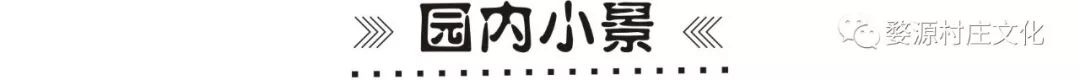 婺源碧山村亲子游新去处，原生态乡村乐园的完美逆袭-51