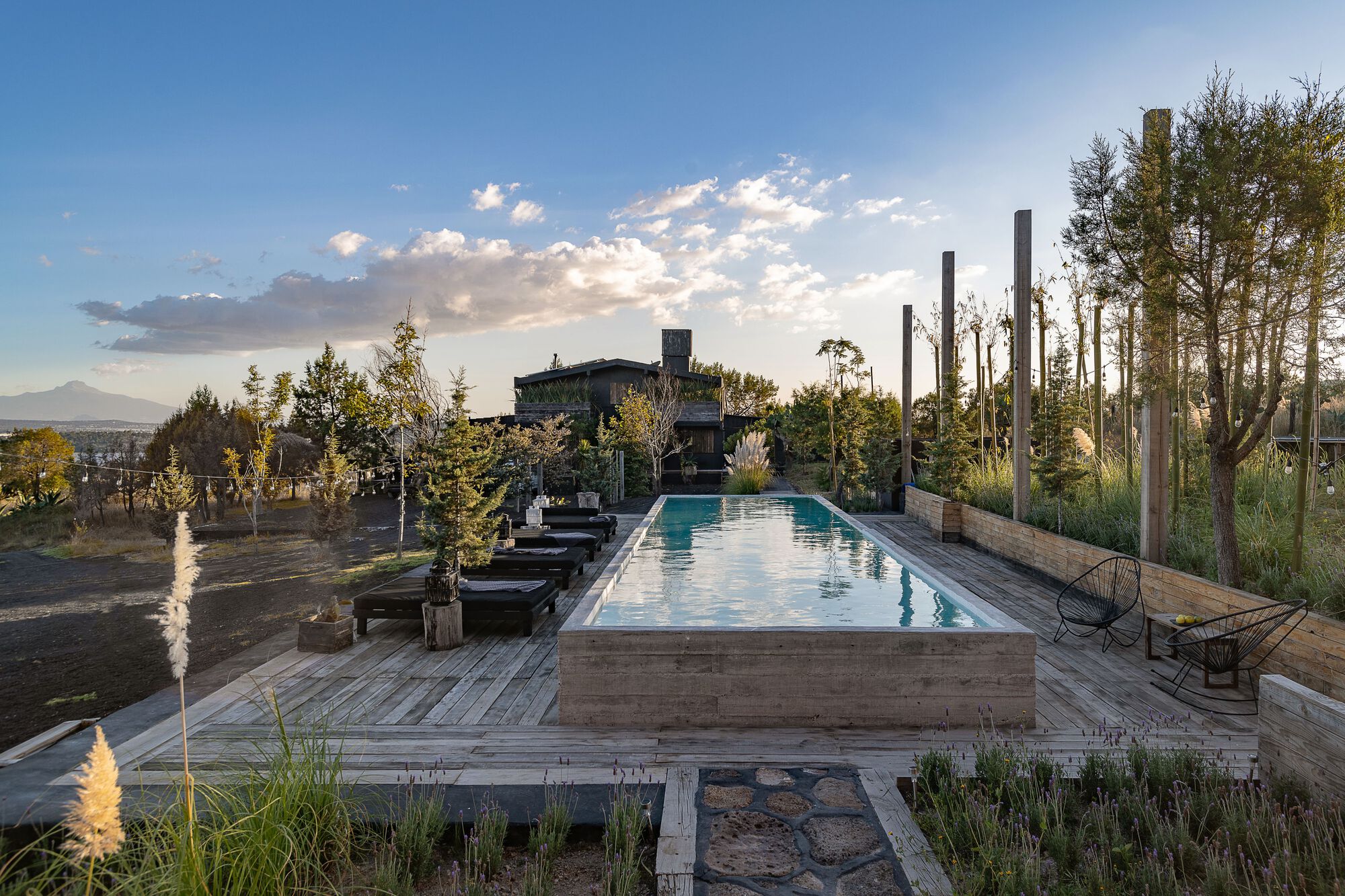 中村屋丨墨西哥丨Fausto Terán,Toro-28