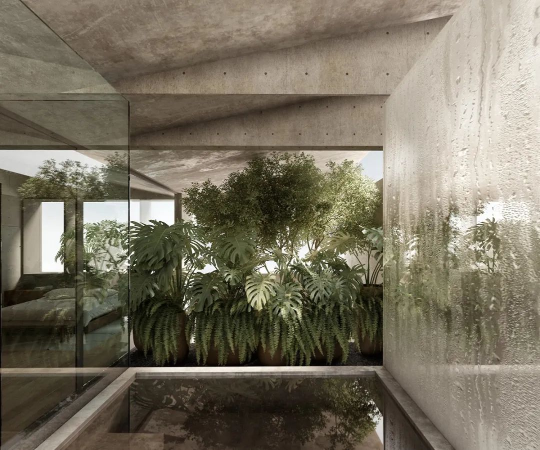 皮纳尔之家丨墨西哥丨V Taller-33