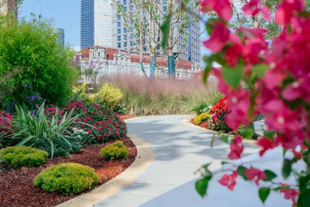 外滩秘境 | 城市花园的时空穿越-180