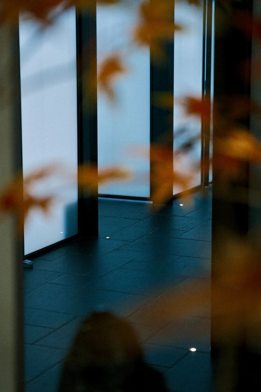 麦子設計•無尽丨鲜宴-10