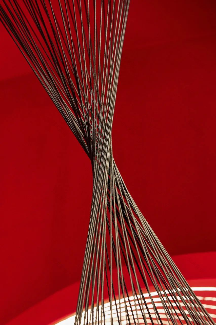 ROARINGWILD 广州首家 POPUP STORE 快闪店丨中国广州丨米尚丽零售设计网-41