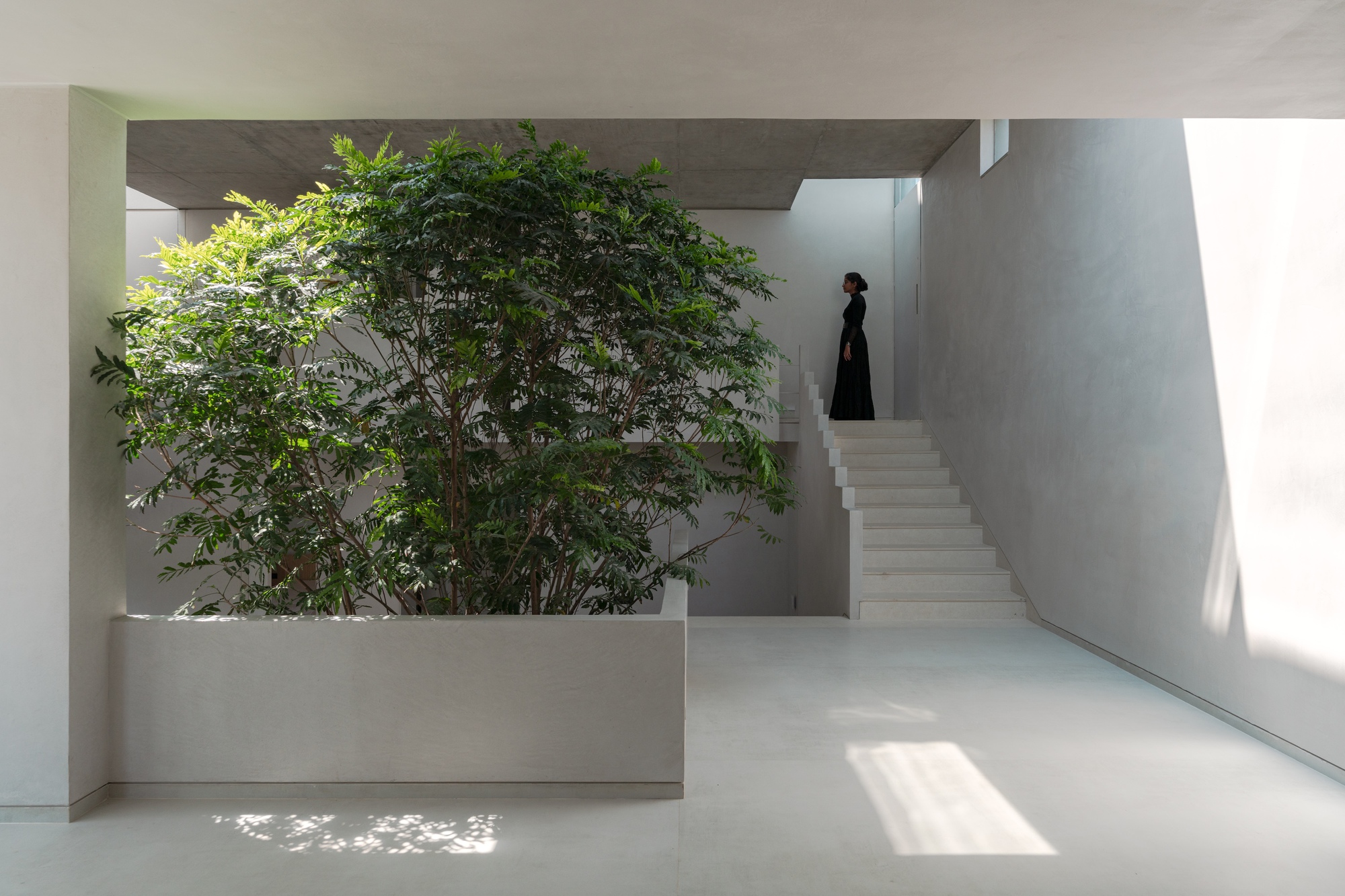 阶梯井屋丨印度班加罗尔丨A Threshold-21