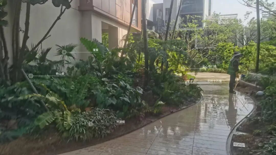 于热带秘境中编织生活美学|江东麓岛阅海澜岸2期花境项目-22