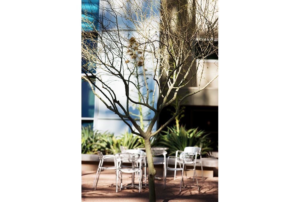 Phoeni· Convention Center景观设计丨美国凤凰城丨Ten Eyck Landscape Architects,Inc.-6