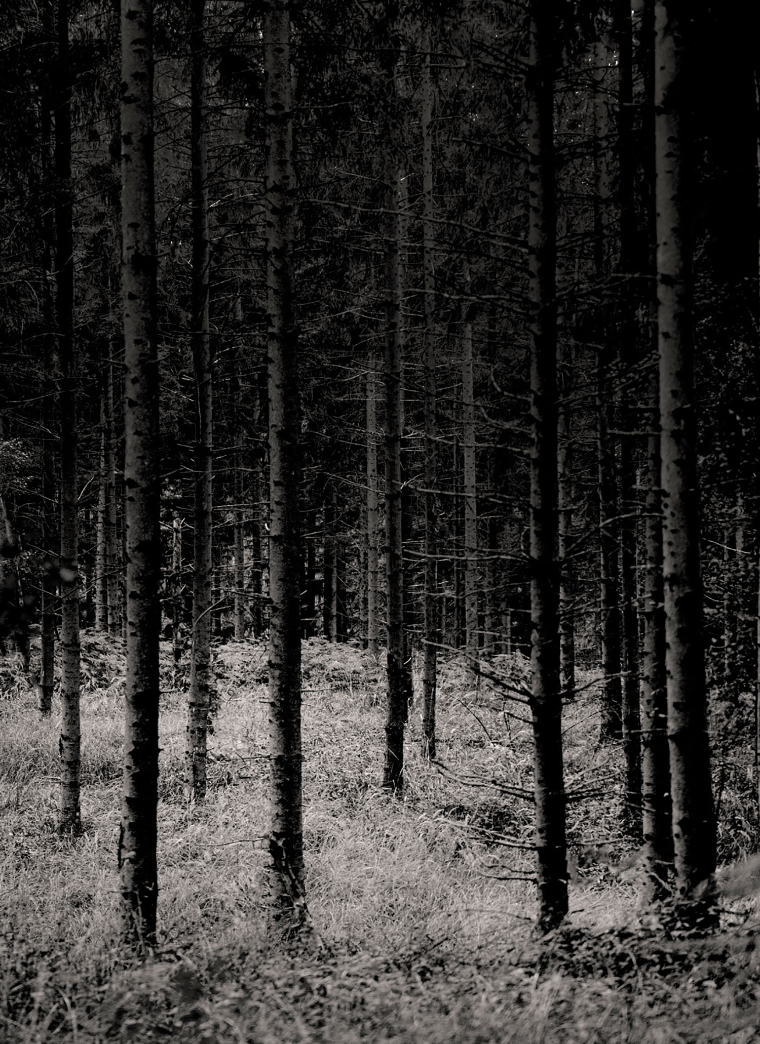 别墅丨丹麦丨Norm Architects-0