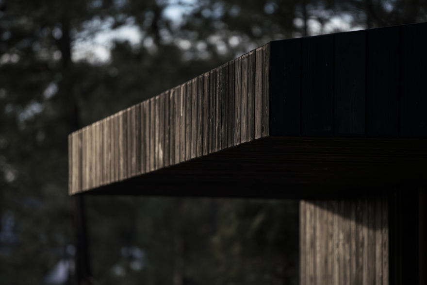 葡萄牙林中的两个黑色小屋-21