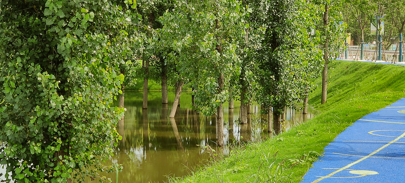 南京玉兰河生态修复丨中国南京丨北京正和恒基滨水生态环境治理股份有限公司,扬州市勘测设计研究院有限公司-56