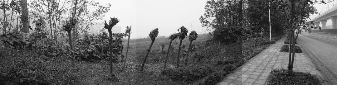 成都中南·智在云辰,TOD 模式下的复合生活空间-14