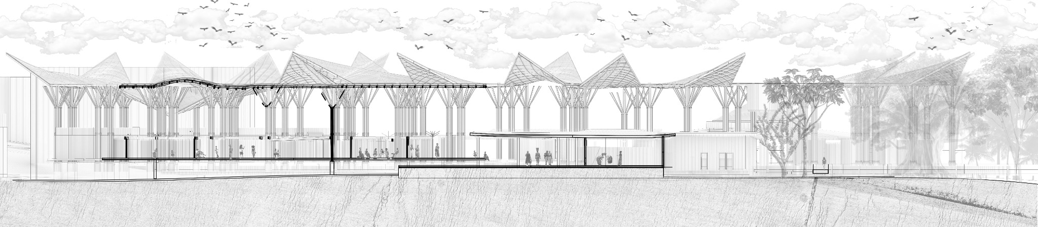 TDG | CASA DE LA PARTERA MATRIA-8