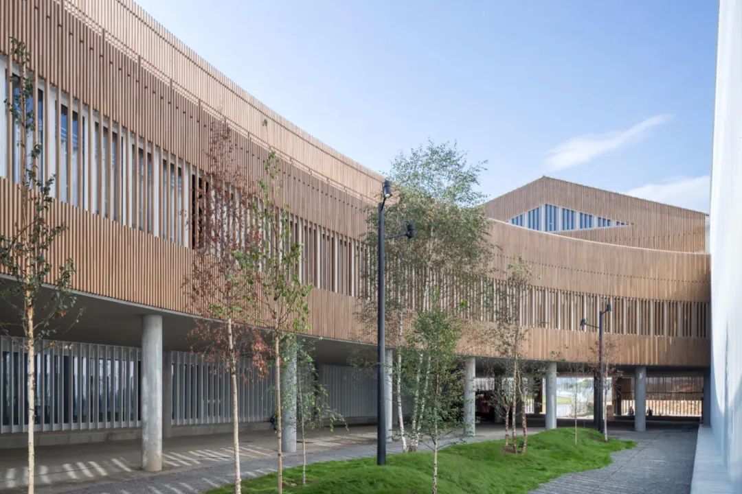 Skolkovo 科学技术研究所东环 | 环形与矩形体块的叠加互动-78