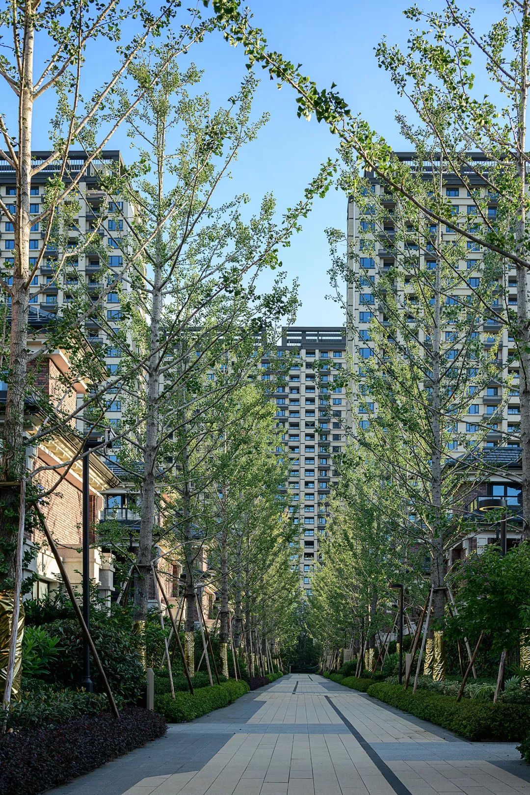 水韵乌镇，寻忆生活本来的样子——龙湖·天宸原著-70