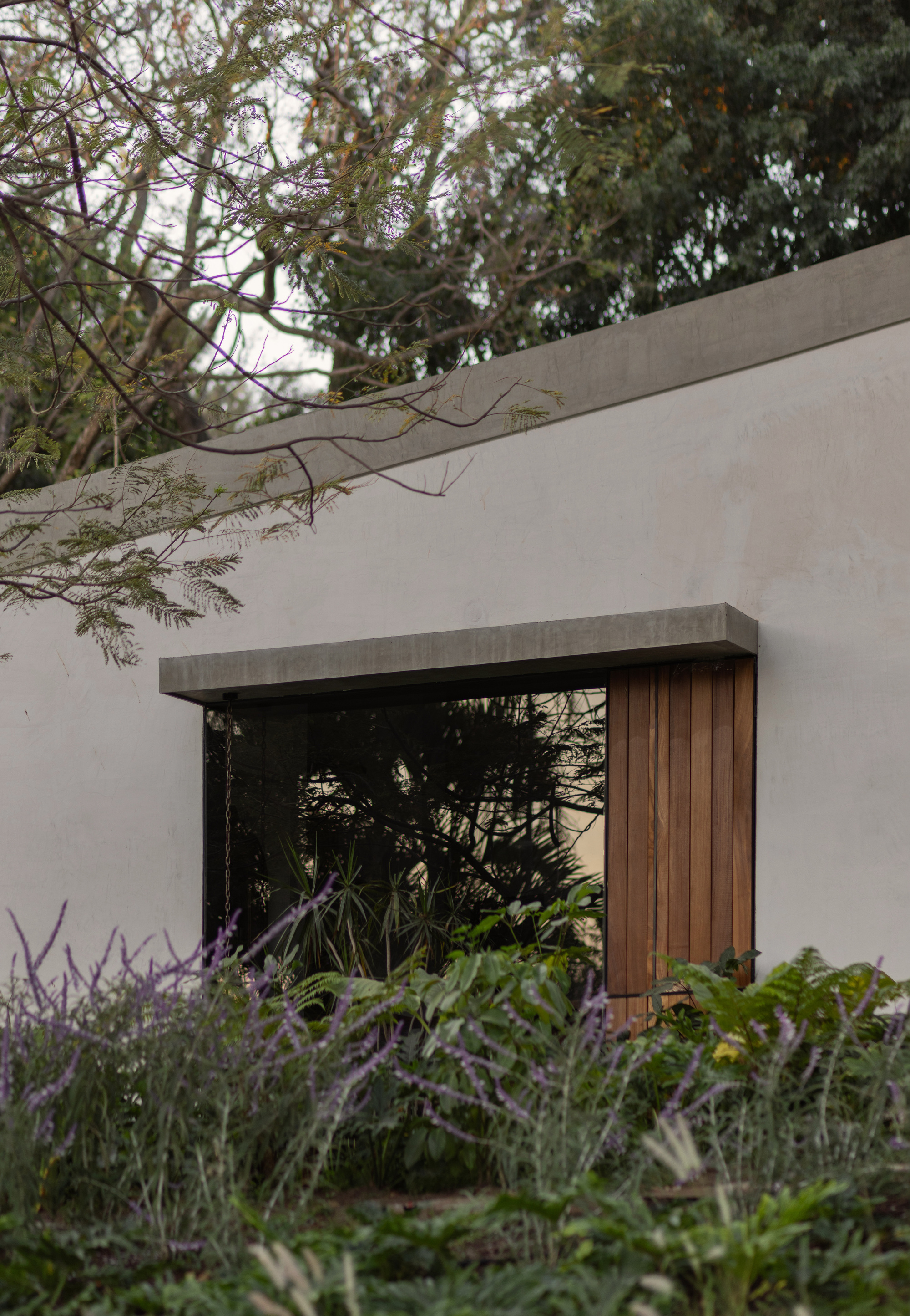 丨墨西哥墨西哥城丨Estudio Radillo Alba-31