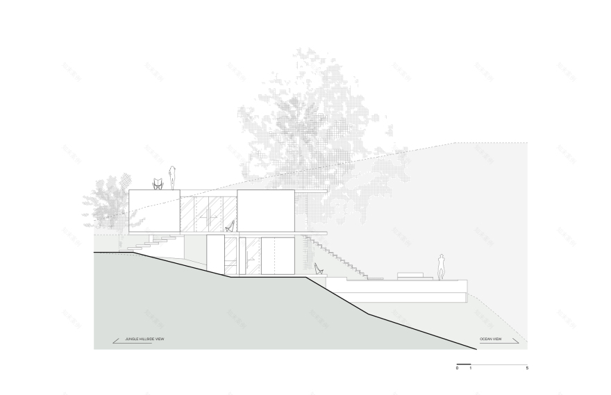 丨哥斯达黎加丨Formafatal-67