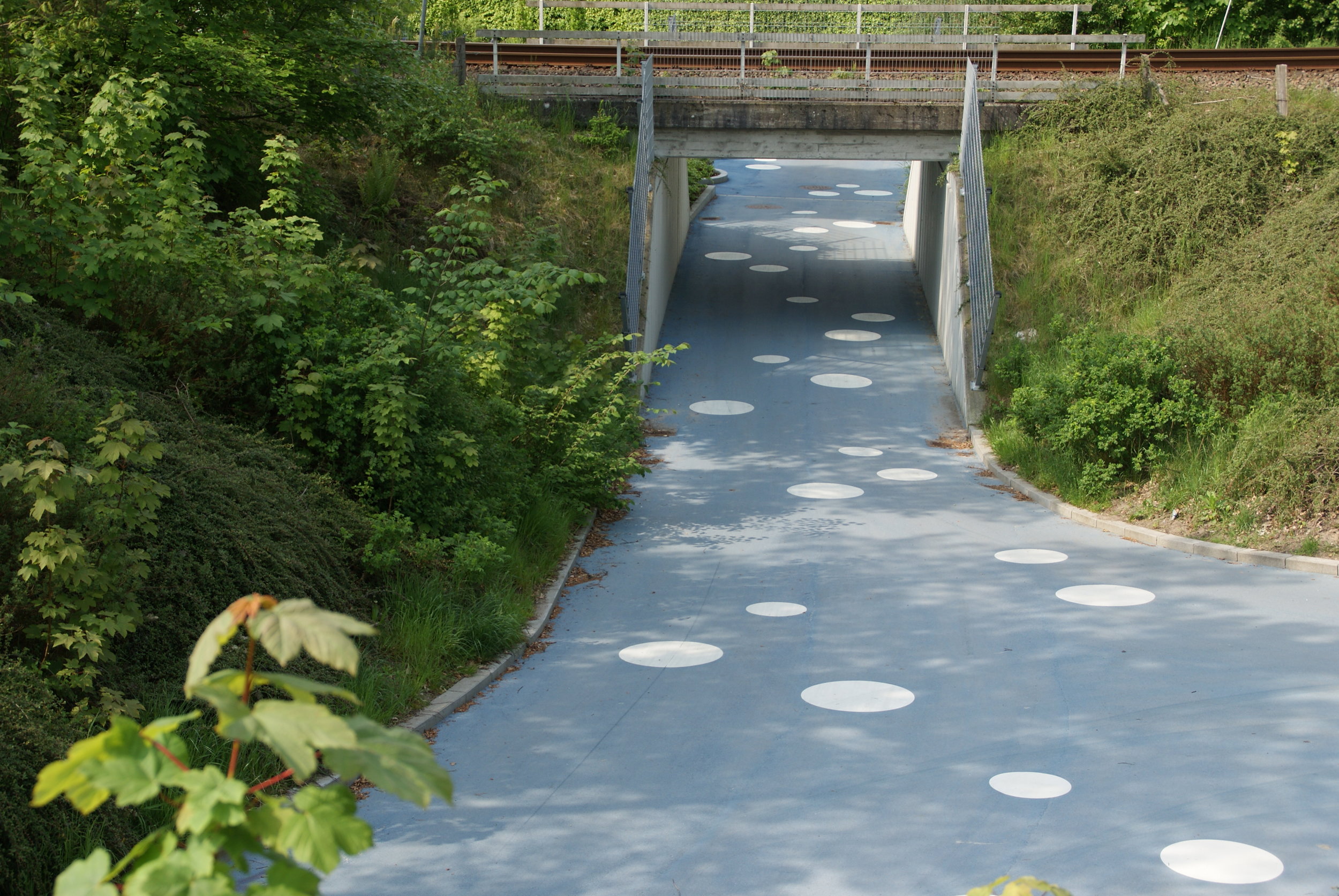 气候适应项目合作社（注：Ry在丹麦语中常用于表示合作社之类具有共同利益的组织形式 ，结合语境Klimatilpasningsprojekt为气候适应项目，这里给出这样的翻译 ） 丨BahrianIsa丨Terra Nova Landskabsarkitekter ApS-18