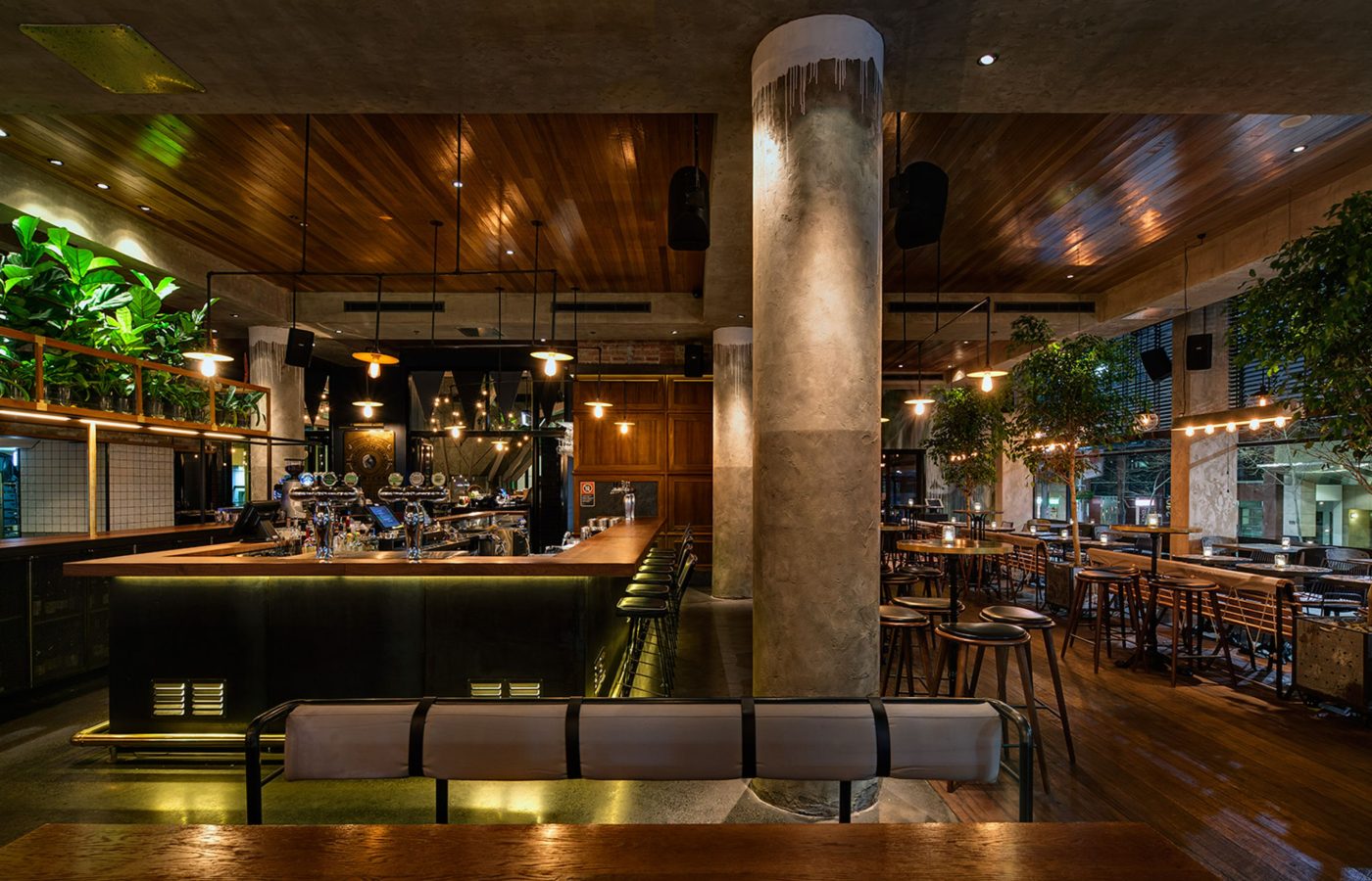 The Morrison Bar, Sydney - Calida-5