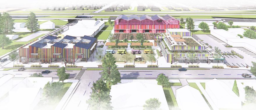 喂城市 | 一个关注食物周期的城市农业中心-10