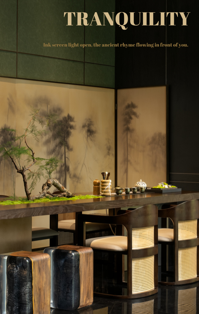 越秀·中寰天悦 售楼处丨中国合肥丨菲洛米斯 PHILOMIS-45