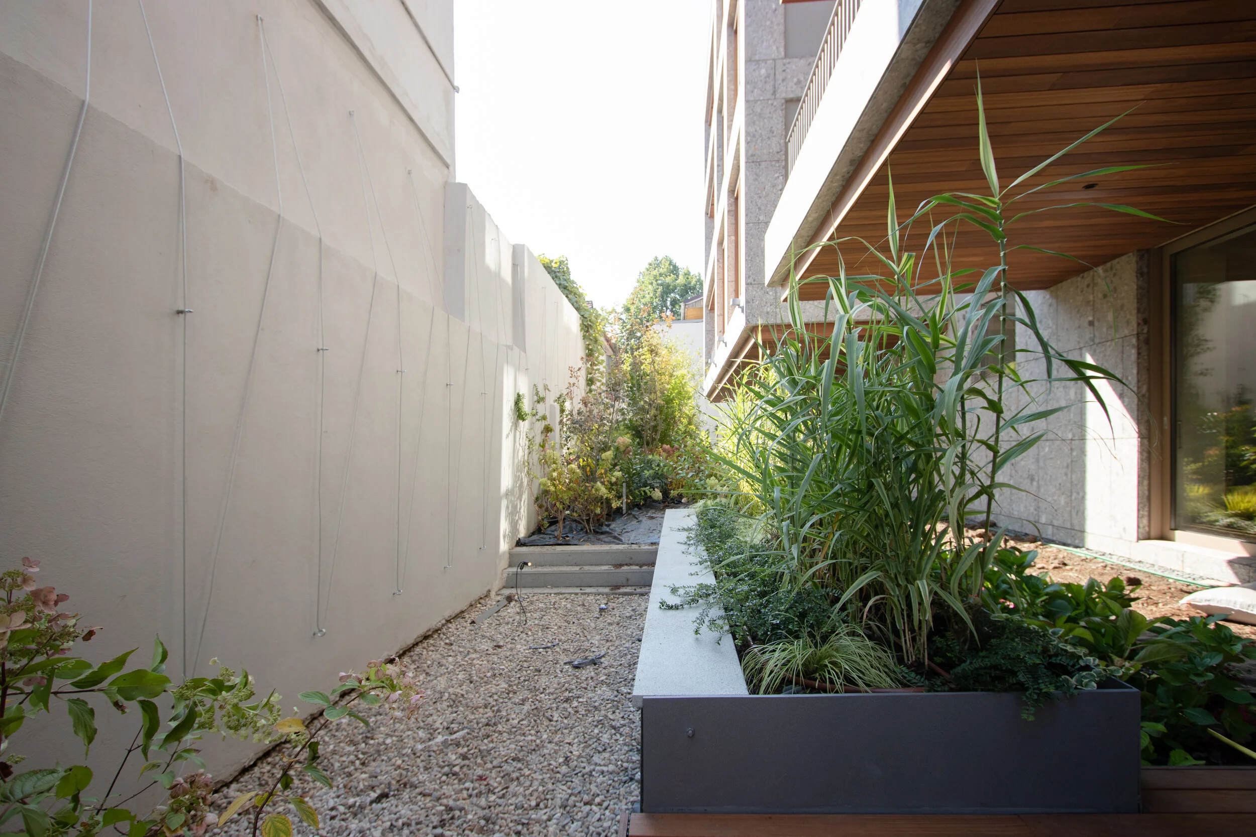 华沙6号

注：VARSOVIA是拉丁语中华沙（波兰首都）的名称这里6推测可能是编号之类，由于缺乏更多背景信息，按常规理解翻译为华沙6号  -17